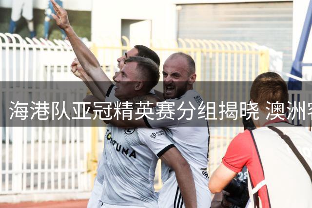 海港队亚冠精英赛分组揭晓 澳洲客场挑战纽卡斯尔